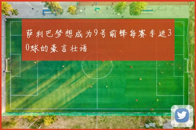 萨利巴梦想成为9号前锋每赛季进30球的豪言壮语