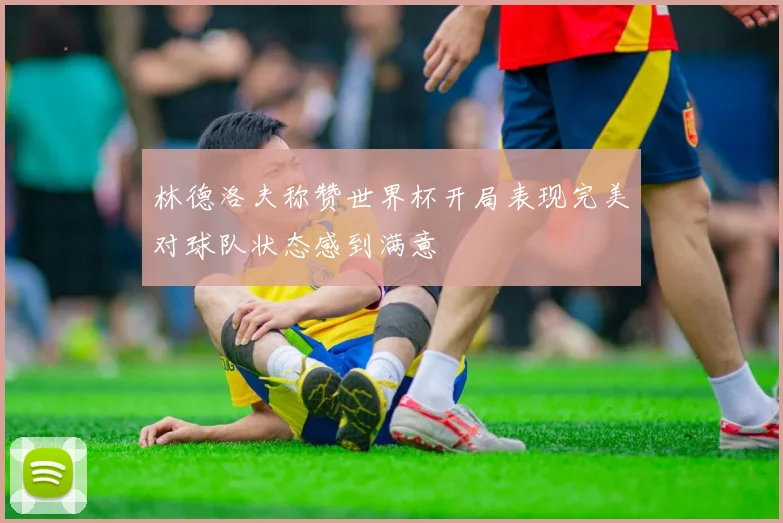 林德洛夫称赞世界杯开局表现完美对球队状态感到满意